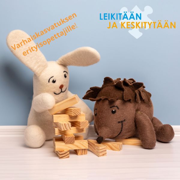 Leikitään ja keskitytään – itsesäätelyn ja toiminnanohjauksen tukeminen varhaiskasvatuksessa, 27.8. ja 17.12.2026 webinaarit